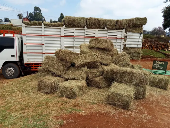 Square bales of Boma Rhodes hay beside a lorry