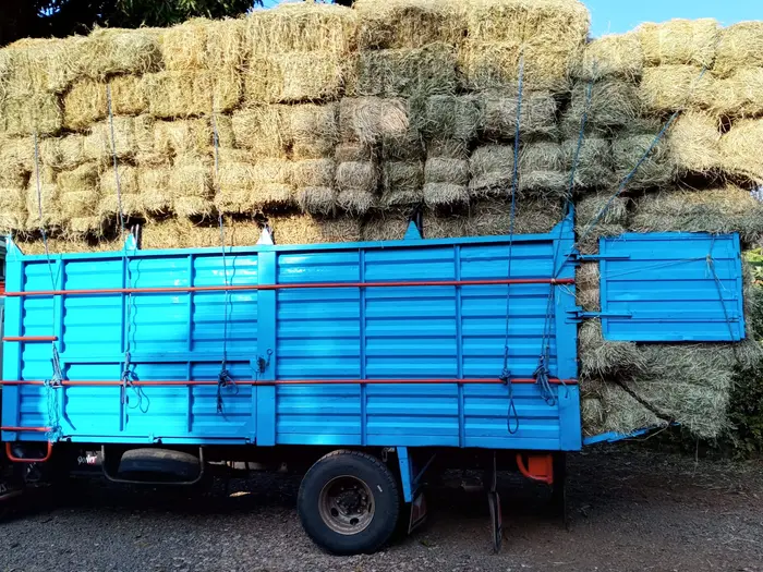 A blue lorry loaded high with hay bales