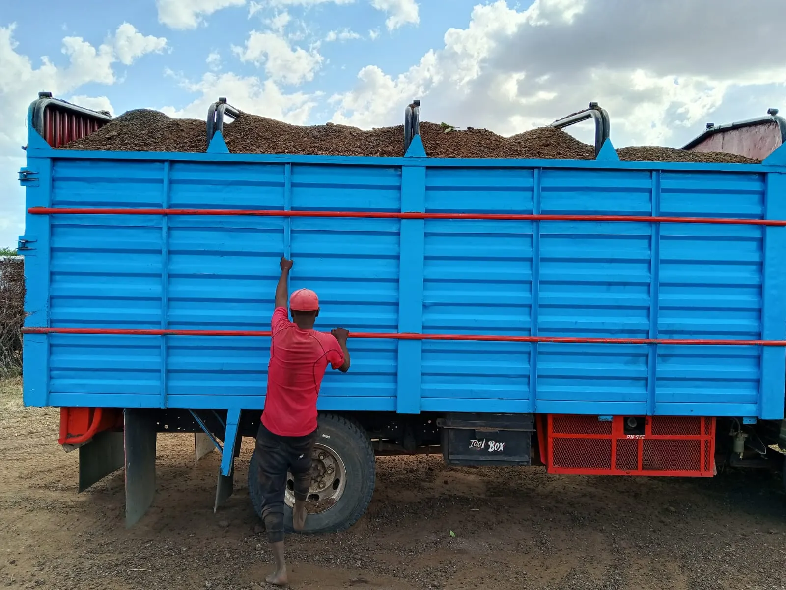 A lorry loaded with goat manure ready for delivery